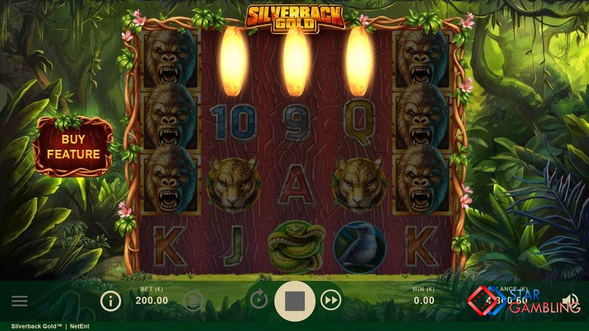 Silverback Gold™ screenshot #4 logo